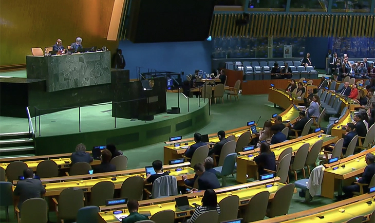 High Representative on the United Nations General Assembly Resolution on Genocide in Srebrenica