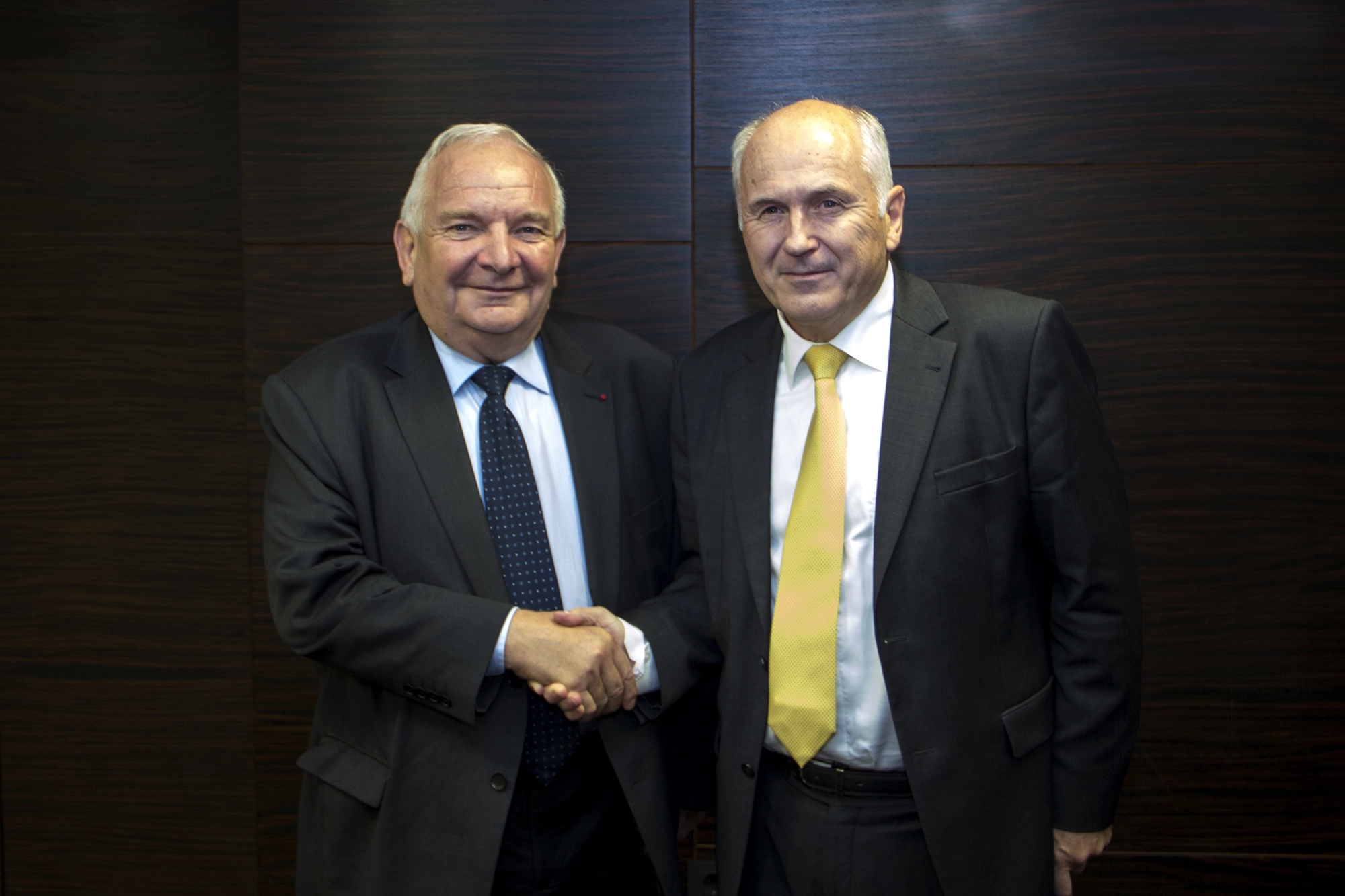HR Inzko meets EPP President Daul